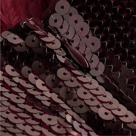 Express- Sequin feather dress - Picture 3 of 3